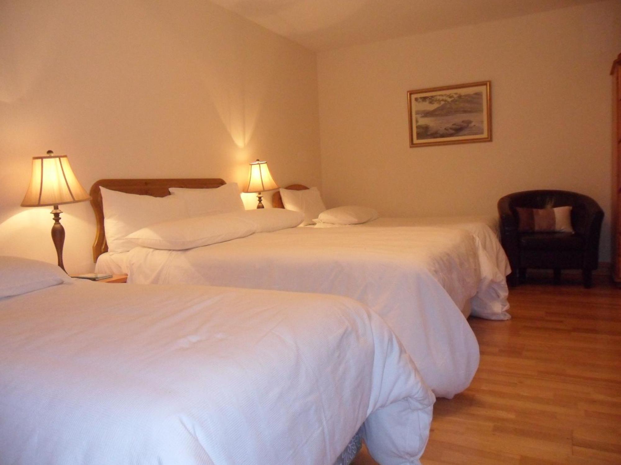 بويل Forest Park House B&B المظهر الخارجي الصورة