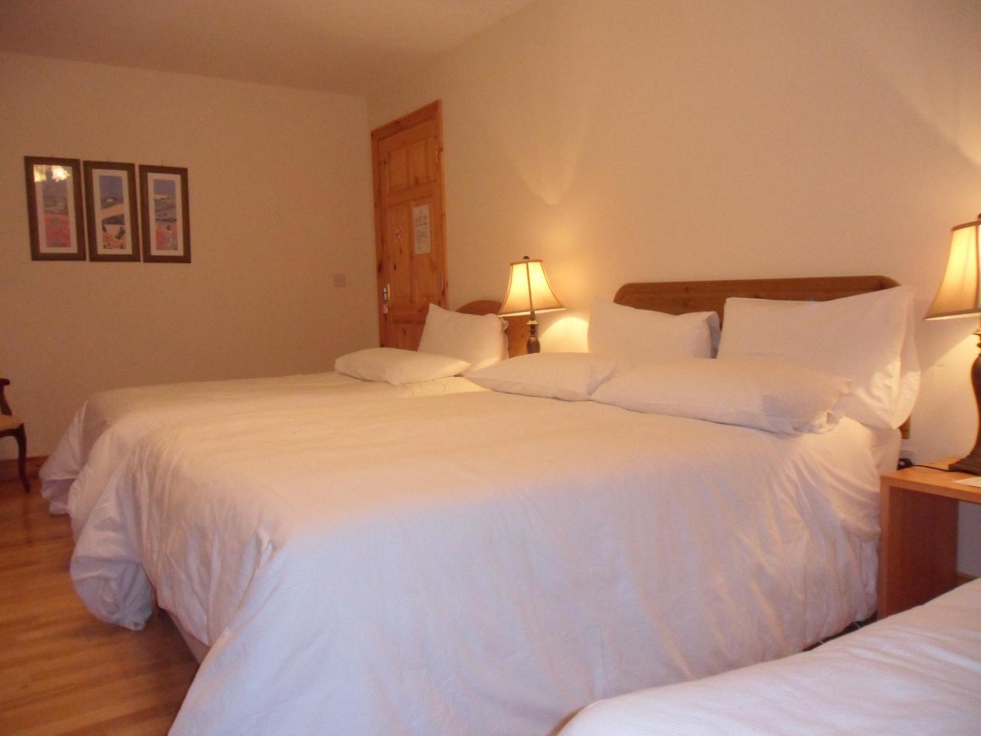 بويل Forest Park House B&B المظهر الخارجي الصورة